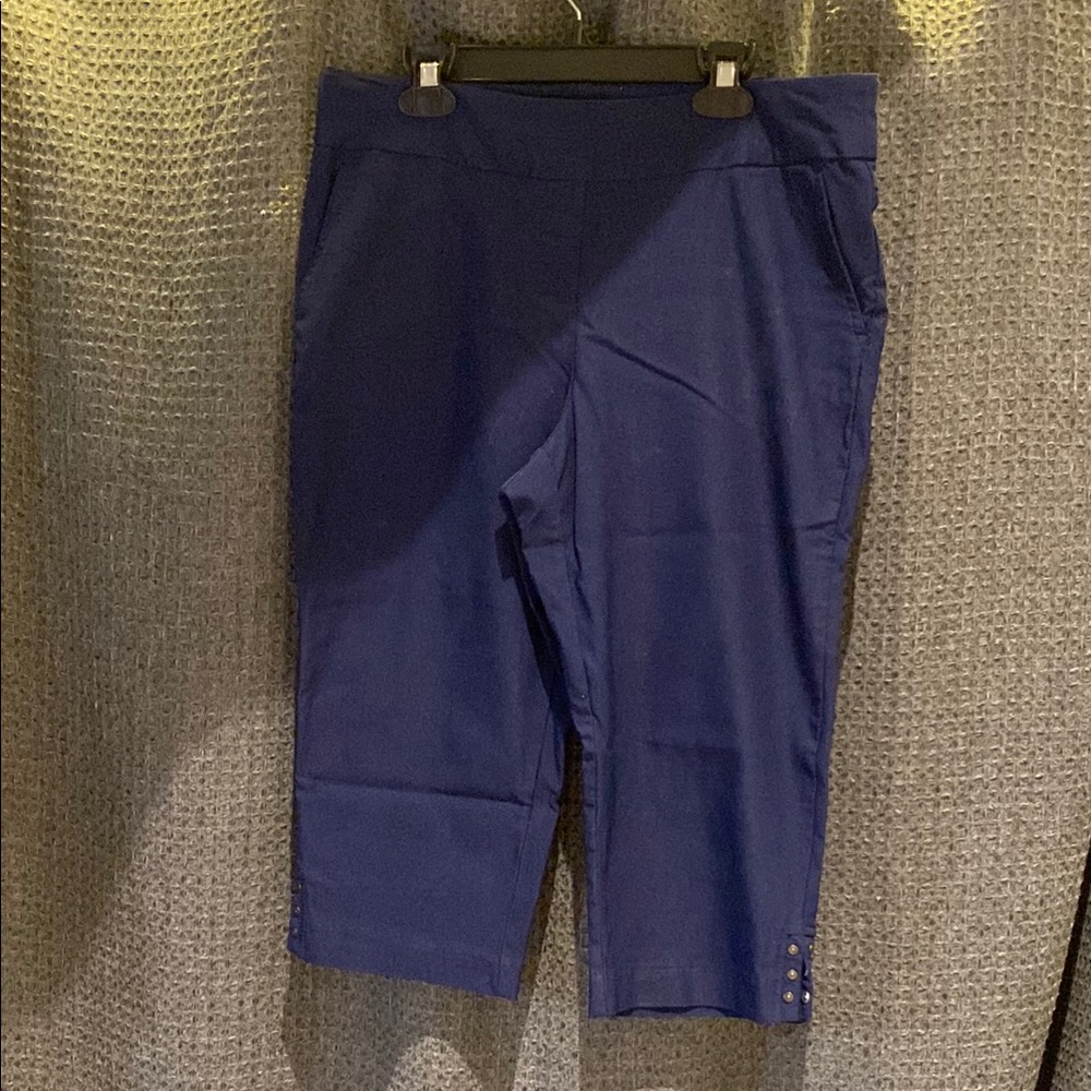 Stylish Blue Cropped Pants